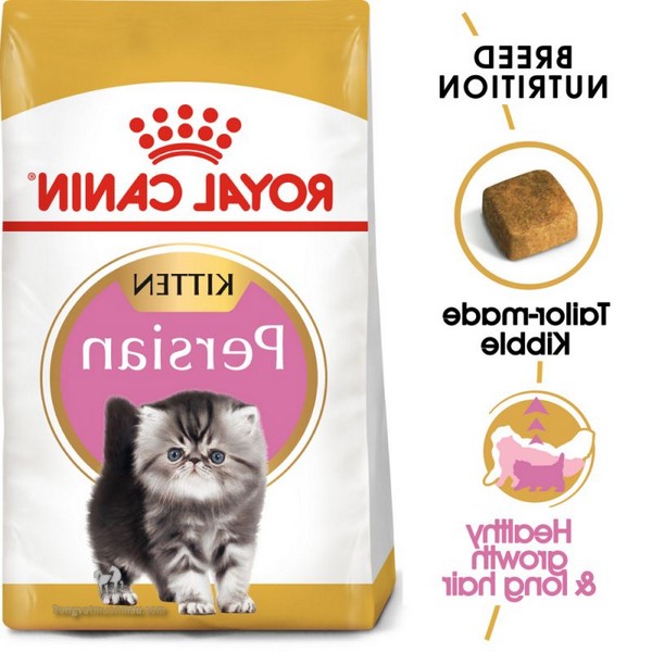 Bật Mí Cách Chọn Hạt Thức Ăn Cho Mèo Ba Tư 13